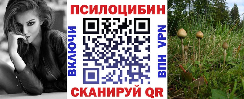 Псилоцибиновые грибы прущие грибы  нарко площадка Telegram  Зверево 